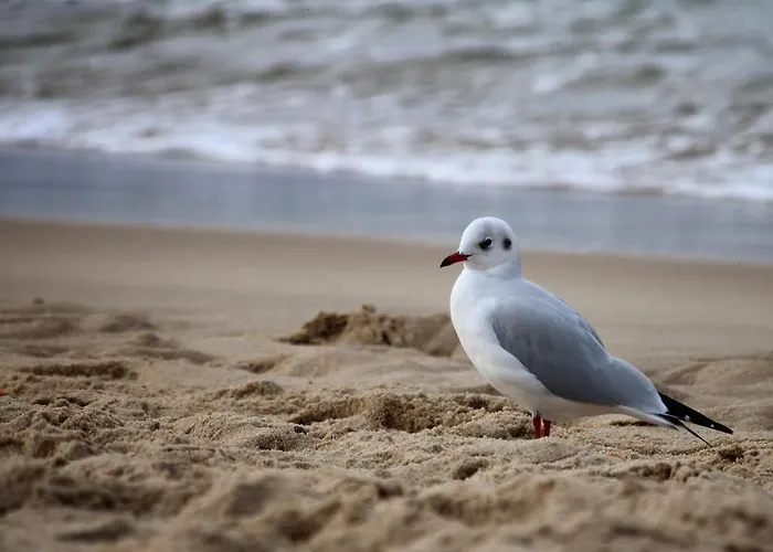 Klaar Kimming Hotel Sylt